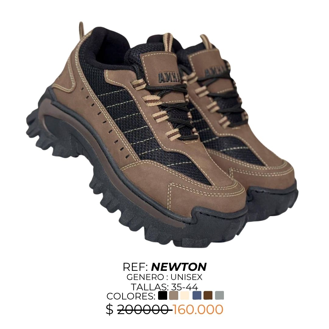 NEWTON 2