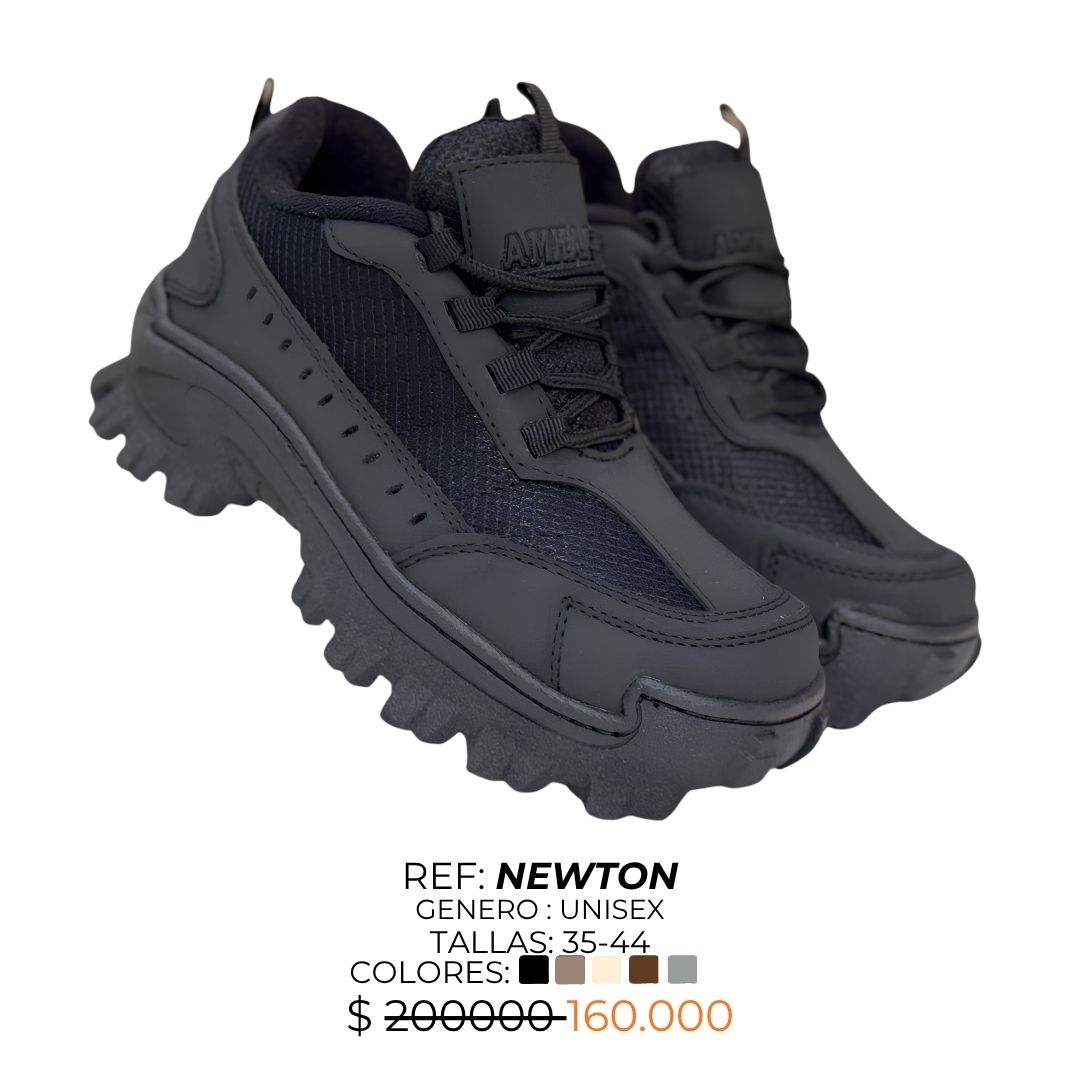 NEWTON 6