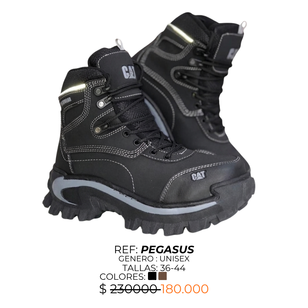PEGASUS Negro